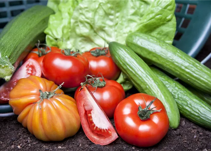 Von Artischocke bis Zucchini: alles für den Bauerngarten