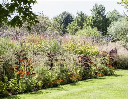 Pflegeleichter Garten: Wohlfühloase trotz wenig Zeit