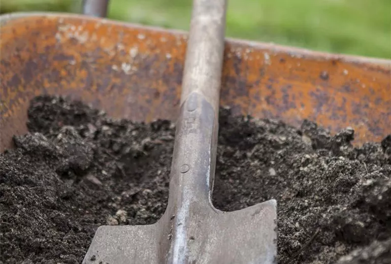 Gartenschaufel Gartenschaufel