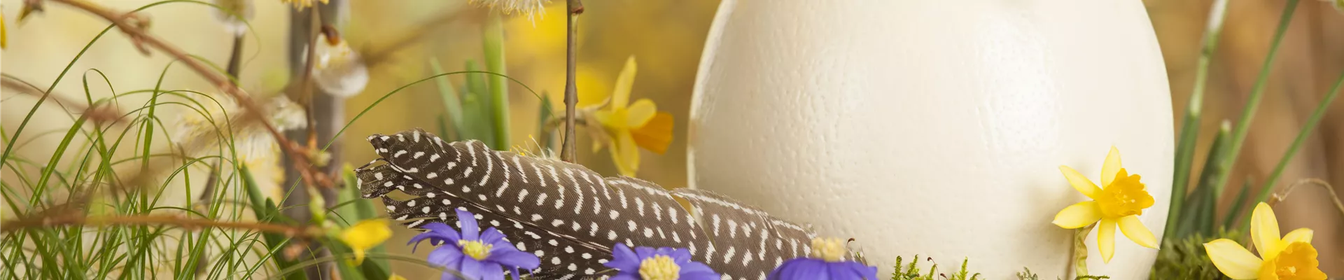 Ostergesteck Ostergesteck