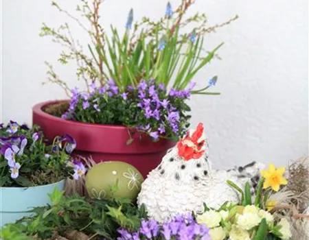 Mini-Gärten, das kleine Gartenglück