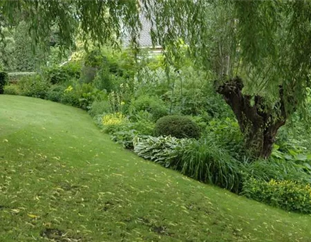 Schief ist modern - Der Garten muss nicht immer perfekt sein Schief ist modern - Der Garten muss nicht immer perfekt sein