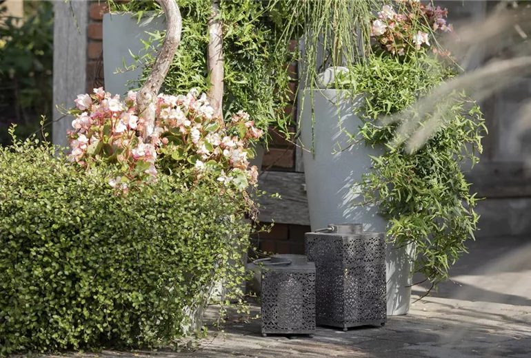 Laternen im Garten