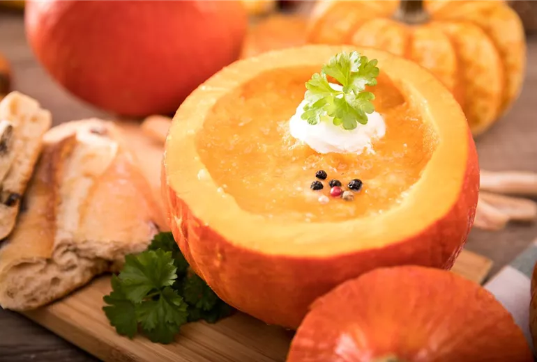 Kürbissuppe Kürbissuppe