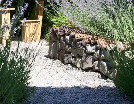 Mauern, Zäune und Hecken – mehr als nur Grenzen 