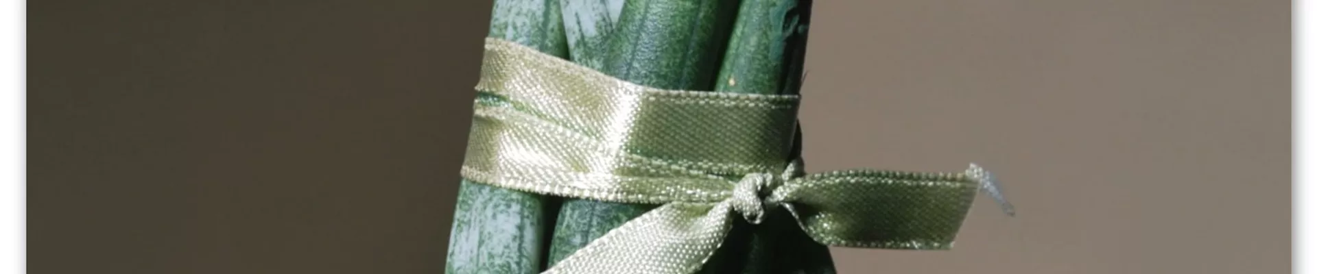 Zimmerpflanzenportrait- Bogenhanf (Thumbnail)