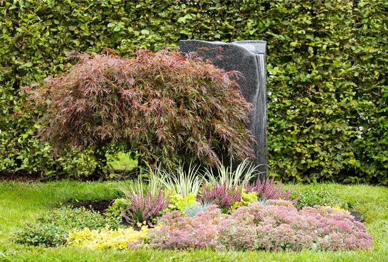 Grabbepflanzung Herbst Grabbepflanzung Herbst