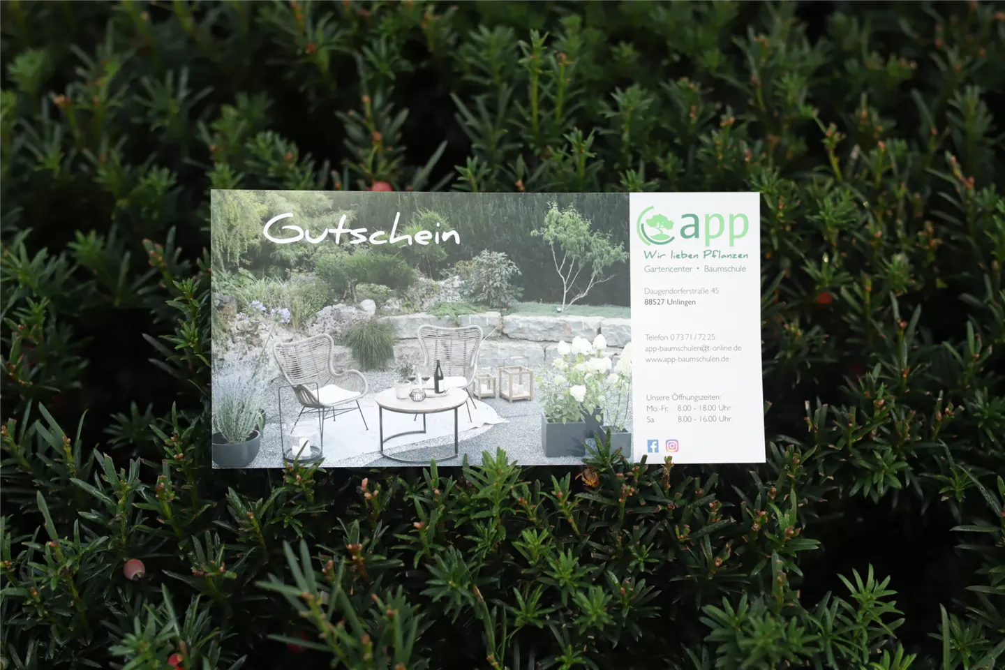 Gutscheine Gutscheine