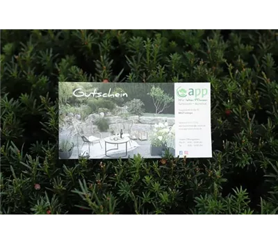 Gutschein  Gutschein