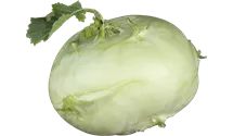Kohlrabi blau