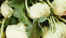 Kohlrabi blau